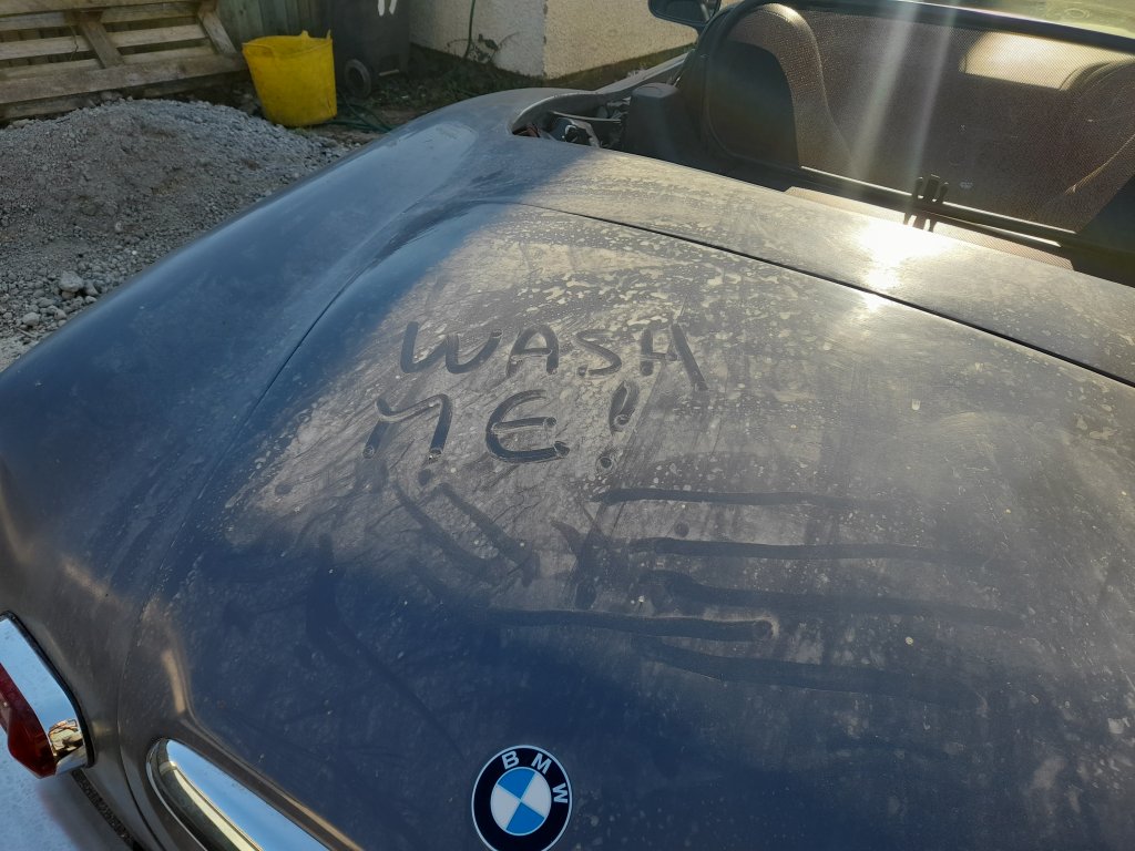 20250407_171049.jpg