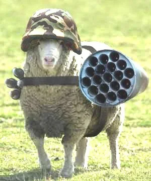 c_documents_and_settings_notandi_my_documents_my_pictures_killer_sheep.webp