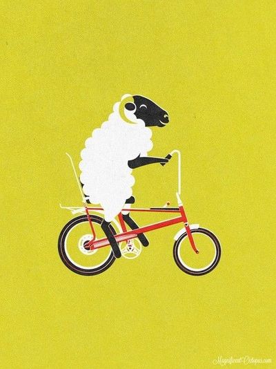 sheep on chopper.jpg