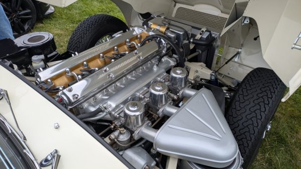PXL_20250518_095601364.MP.jpg