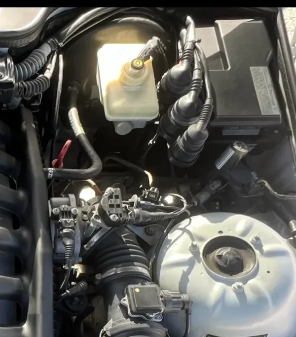 1776539375964.webp