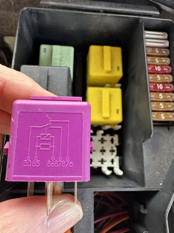 IMG_1872.webp