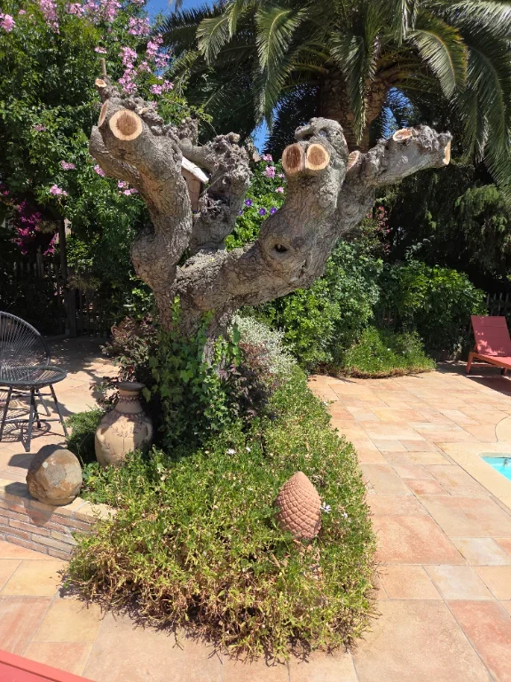 20260618_115147.webp