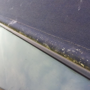 BMW Z3 Hood Clean - Before