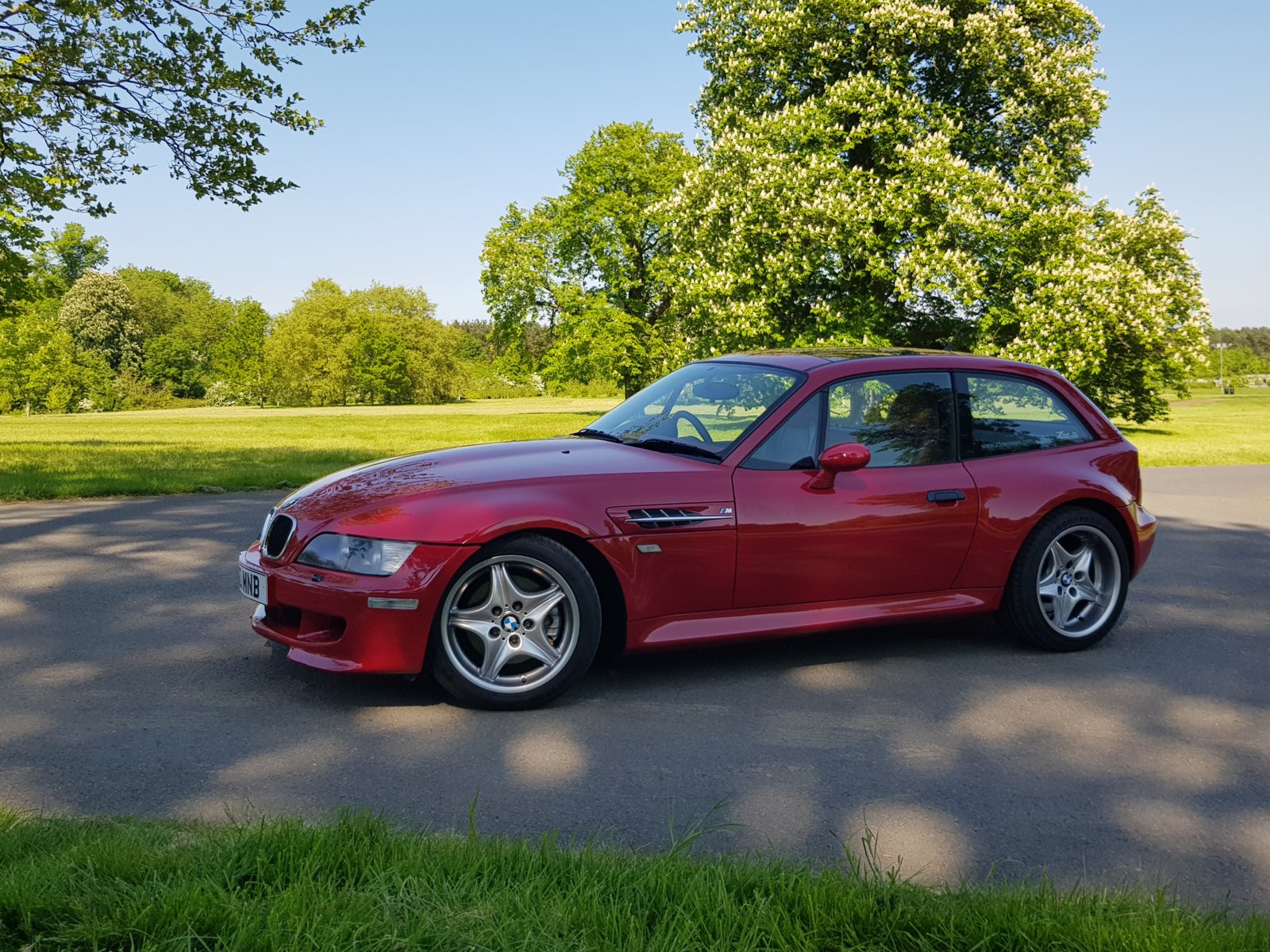 Coupe in the Sun