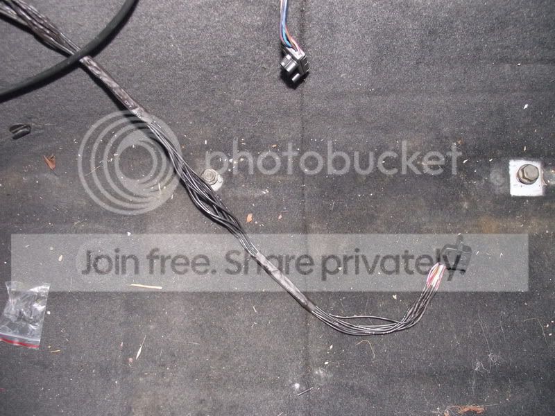 DSCF6619.jpg