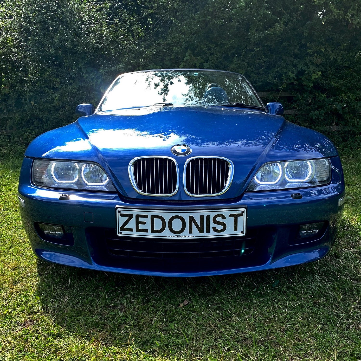 www.zedonist.com